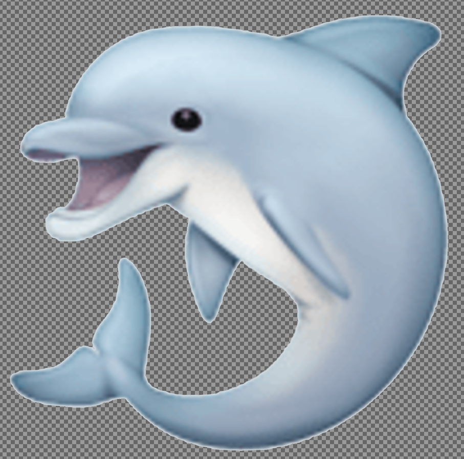 3 layers of dolphin