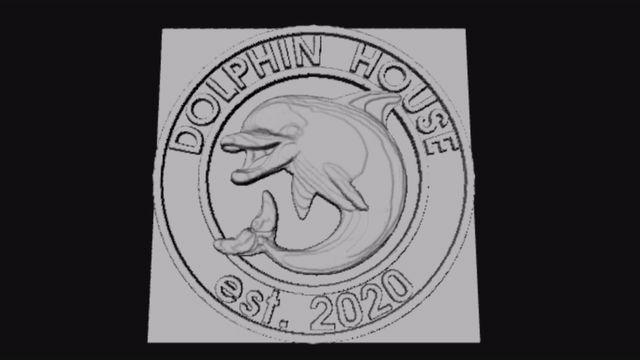 work in progress dolphin seal