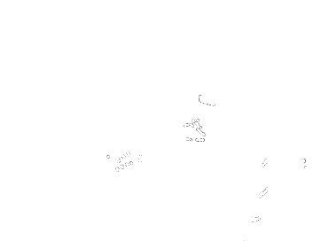 coding skeleton